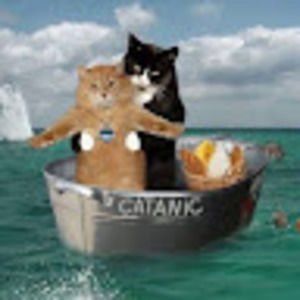 Meet your Posher, Miki